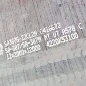 ASTM A387 CR-MO Alloy Steel Pead Plates Plates